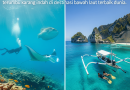 Snorkeling & Diving