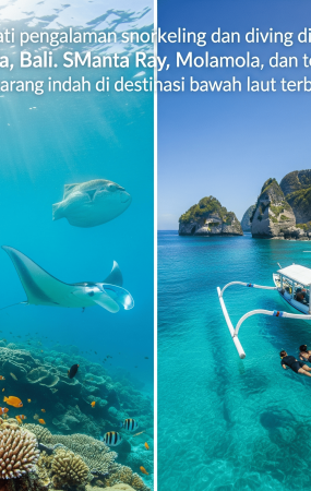 Snorkeling & Diving