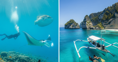 Snorkeling & Diving