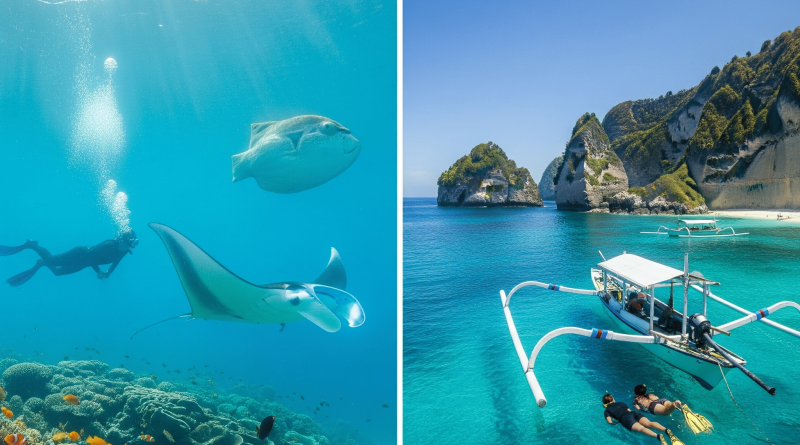 Snorkeling & Diving