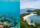 Menjangan Island