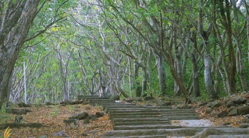 West Bali National Park