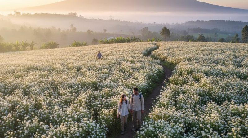 Taman Edelweiss Temukus