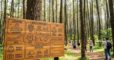 Hutan Pinus Glagalinggah